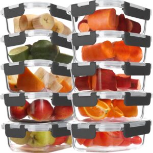 10 Pack 22 oz Glass Meal Prep Containers, Glass Food Storage Containers with Airtight Lids, BPA-Free, Freezer and Microwave Safe